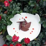 Maison Chilo Hotel Barcus