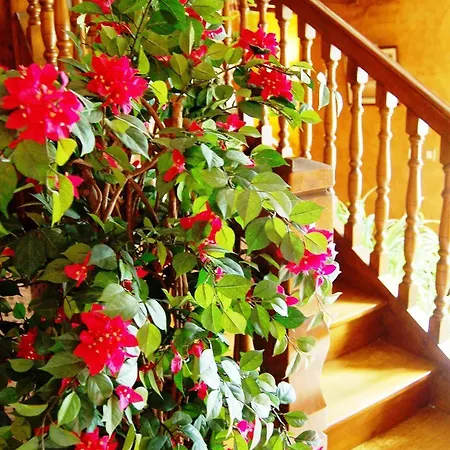 Hotel Chez Chilo Barcus