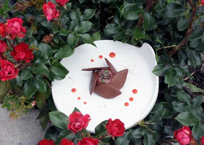 Maison Chilo Hotel Barcus