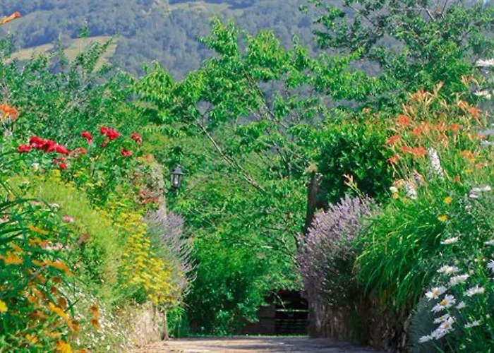 Maison Chilo Hotel Barcus